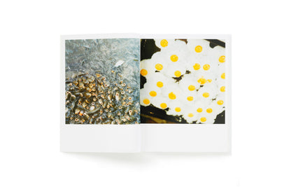 Utatane – Rinko Kawauchi Photo Book