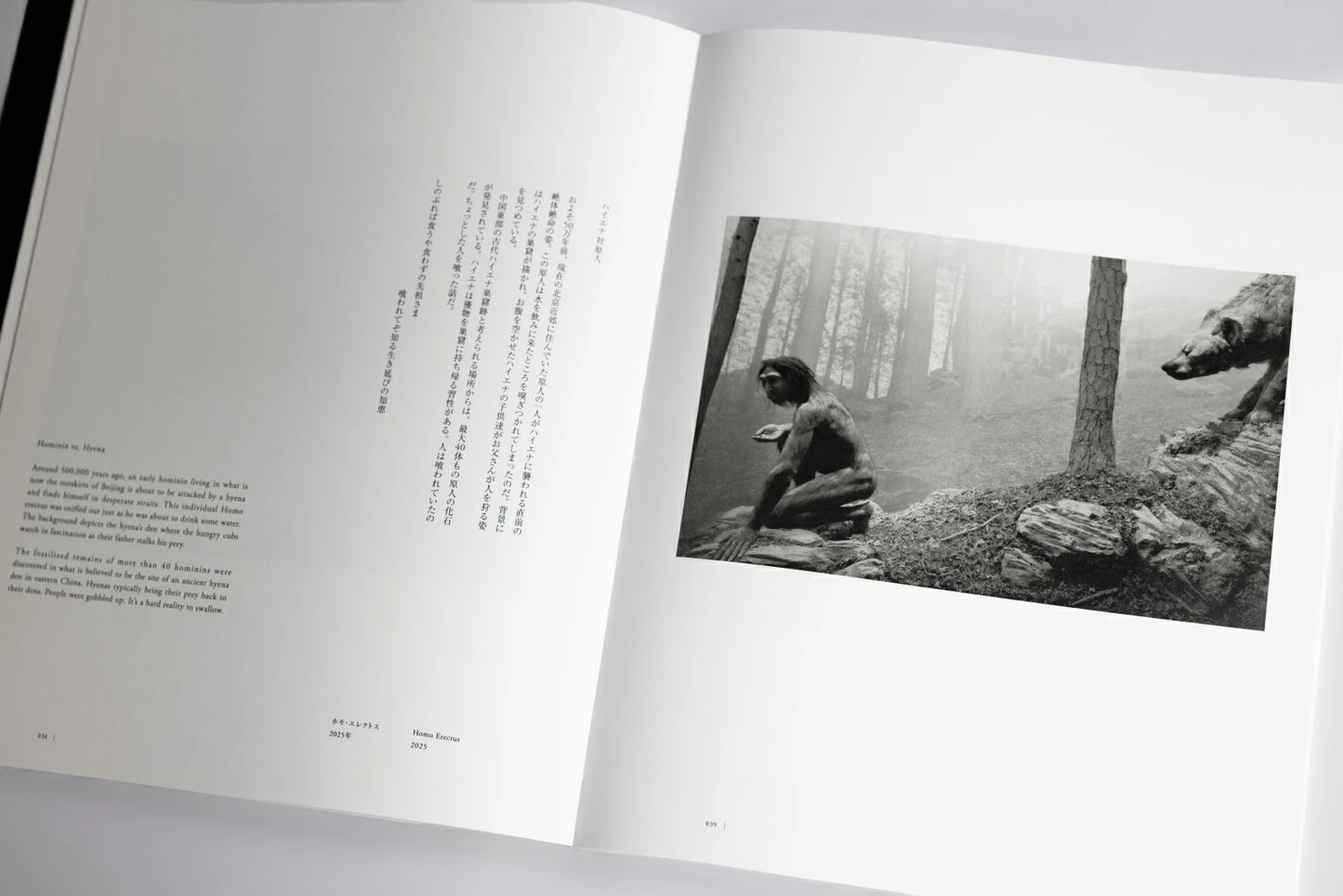Extinction Photographs Exhibition Catalog 2026 – Hiroshi Sugimoto  Photo Book