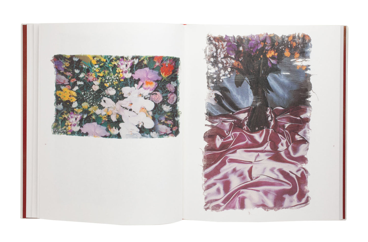 Ayaka Endo: Swaying Flowers Signed First Edition Photo Book Limited Edition 750