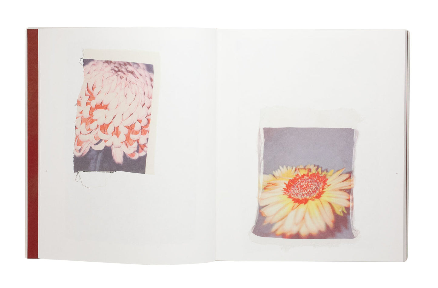 Ayaka Endo: Swaying Flowers Signed First Edition Photo Book Limited Edition 750