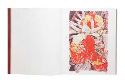 Ayaka Endo: Swaying Flowers Signed First Edition Photo Book Limited Edition 750
