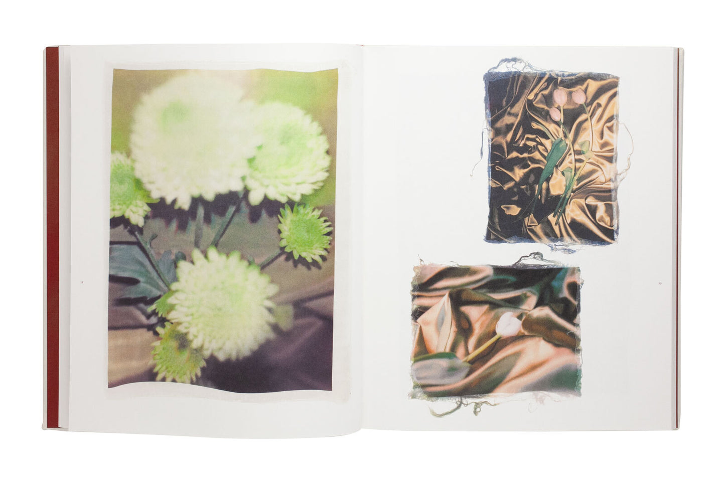 Ayaka Endo: Swaying Flowers Signed First Edition Photo Book Limited Edition 750