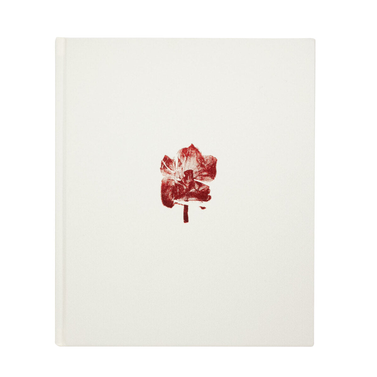 Ayaka Endo: Swaying Flowers Signed First Edition Photo Book Limited Edition 750
