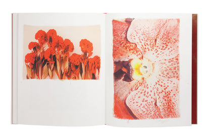Ayaka Endo: Swaying Flowers Signed First Edition Photo Book Limited Edition 750