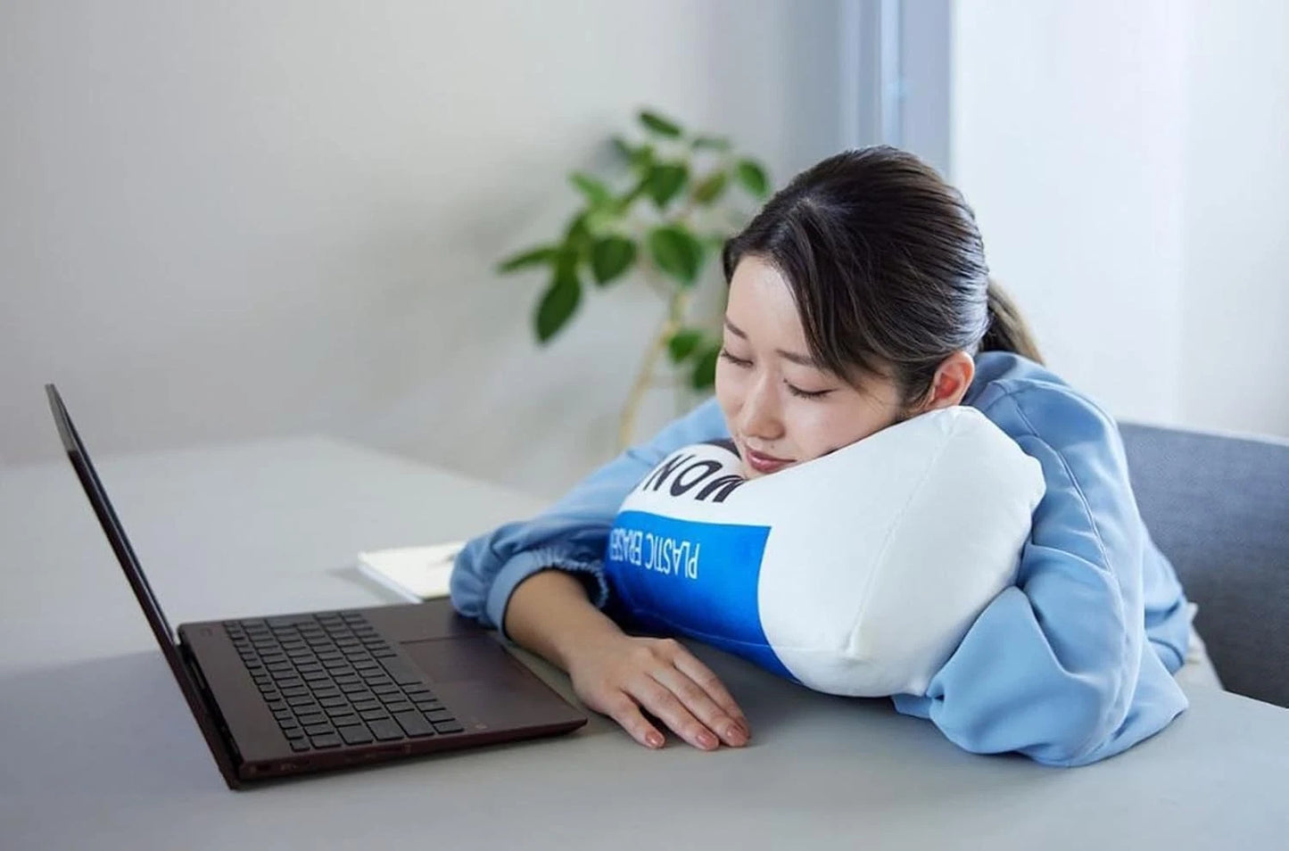 MONO Stationery BOOK Vol.3 with Special Plush Eraser Cushion – Japanese Mook Magazine