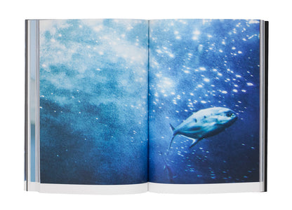 Ayaka Endo: Kanoko Signed First Edition Photo Book Limited Edition 500